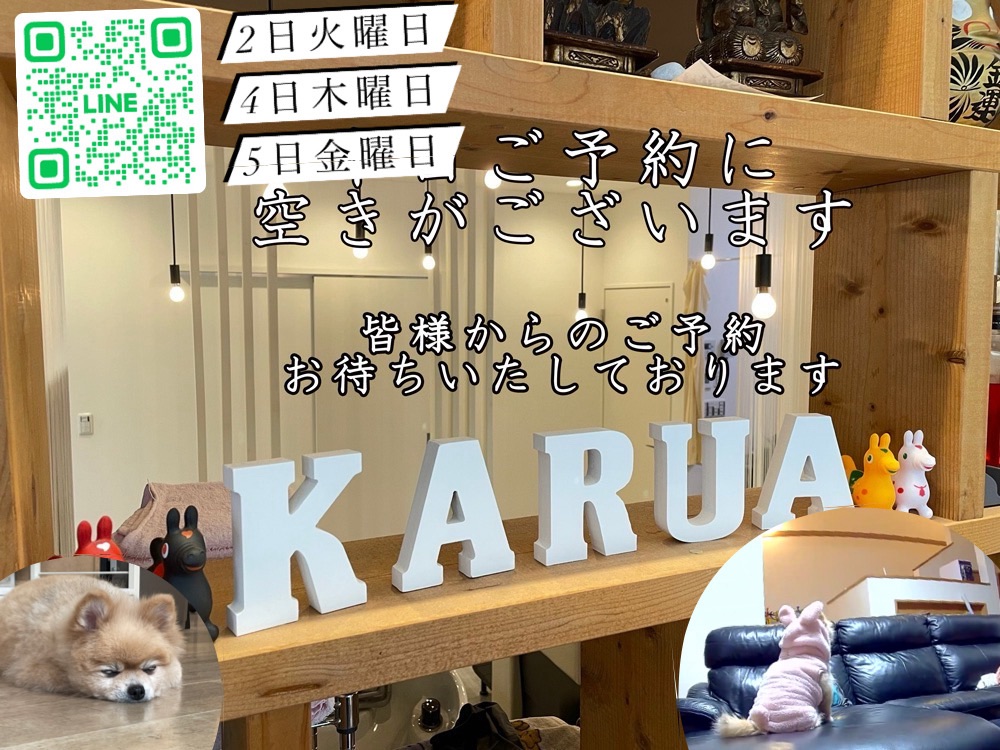 12月第一週まだまだご予約できます(^^)/ 12月第一週まだまだご予約できます(^^)/