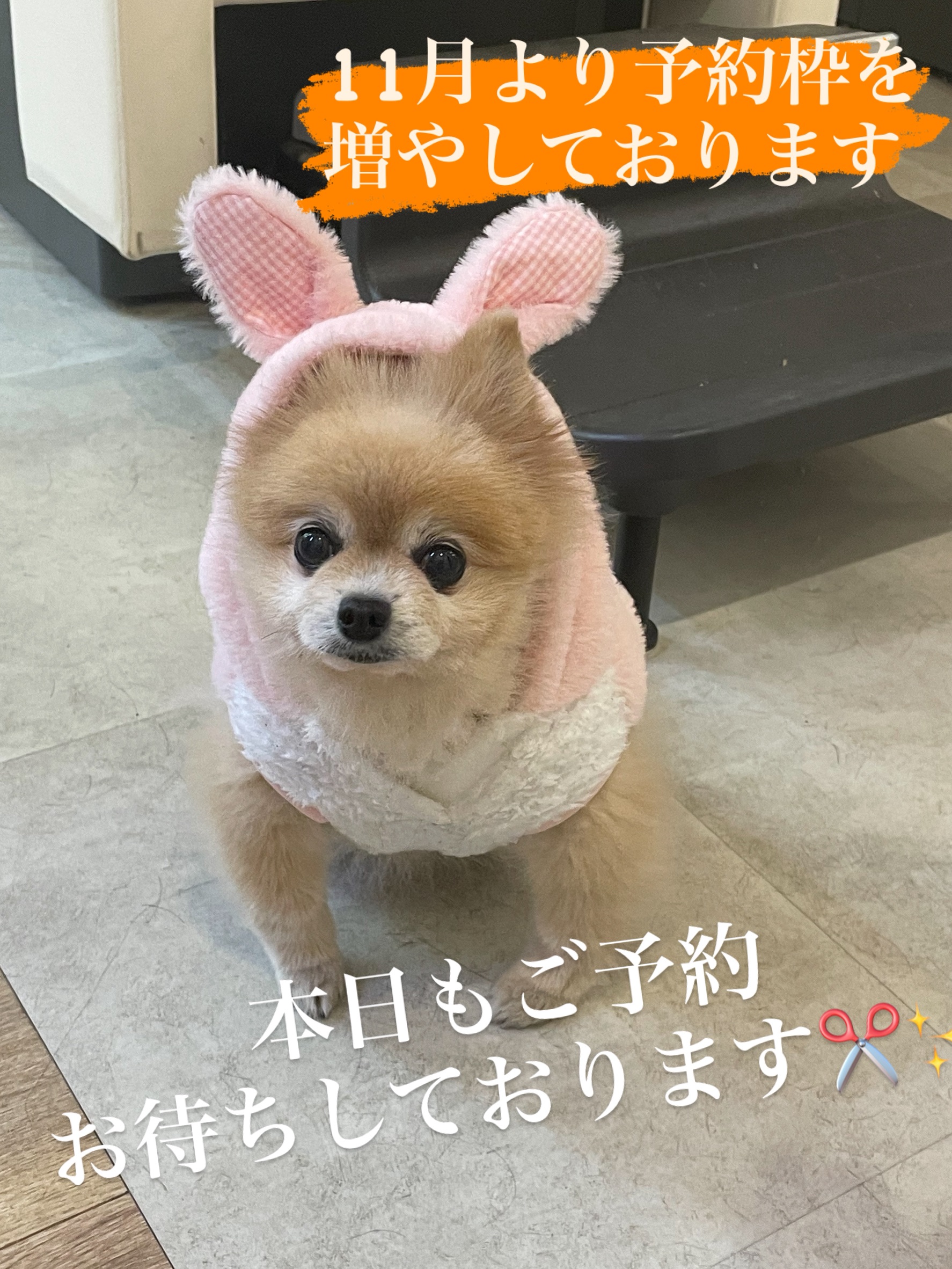 １１月よりご予約枠を増やしております♪